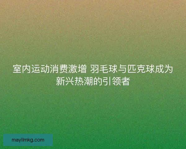 室内运动消费激增 羽毛球与匹克球成为新兴热潮的引领者